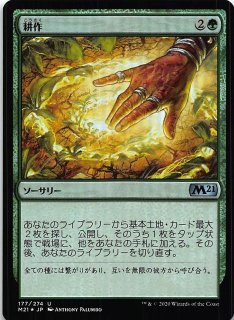 基本セット2021 アンコモン FOIL】トーモッドの墓所 241/274 - マナソース