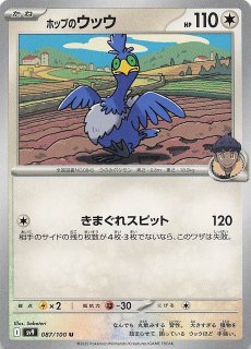 バトルパートナーズ SR】ホップのザシアンex 118/100 - マナソース