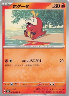 ゴマゾウ | ポケモン図鑑 | Pokémon-Info 寶可夢資訊站