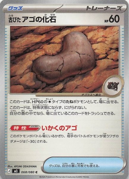 画像1: 【ムニキスゼロ C】古びたアゴの化石　068/080 (1)