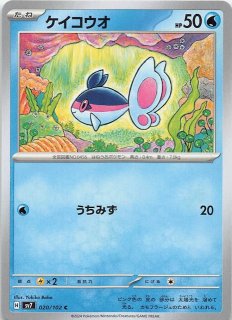 【psa10】連番 ゼラオラ AR ステラミラクル PSA10連番】ポケモンカード ゼラオラ AR ステラミラクル 4枚