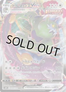 VSTARユニバース RRR】ゼラオラVMAX 041/172 - マナソース