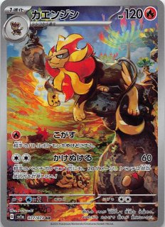 通販 人気】 ポケモンカード トリプレットビート コイキング 080/073 