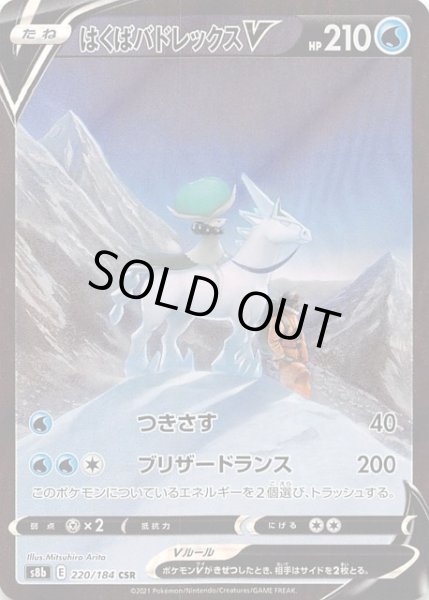 画像1: 【VMAXクライマックス CSR】はくばバドレックスV 220/184 (1)