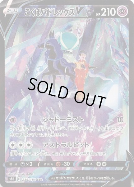 画像1: 【VMAXクライマックス CSR】こくばバドレックスV 235/184 (1)