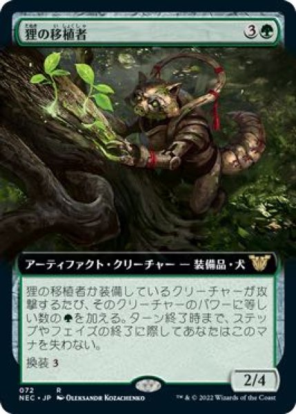 画像1: 【神河：輝ける世界 統率者 レア 拡張アート版】狸の移植者　072 (1)