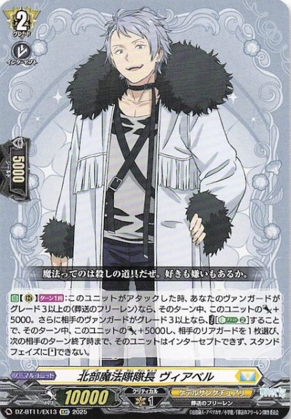 画像1: 【EXC】北部魔法隊隊長 ヴィアベル　DZ-BT11/EX13 (1)