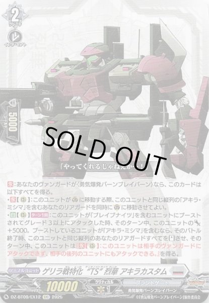 画像1: 【EXC】ゲリラ戦特化“TS” 烈華 アキラカスタム　DZ-BT09/EX12 (1)