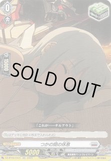 テラスタルフェスex4プロロン アリゲイツ チヲハウハネパオ