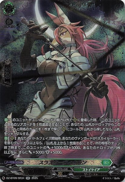 画像1: 【SR】スラスターヴィクセン　DZ-BT09/SR34 (1)