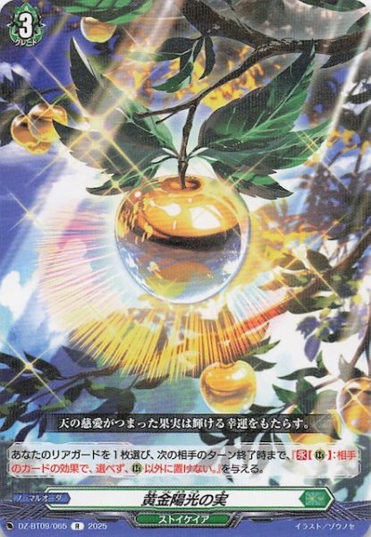 画像1: 【R】黄金陽光の実　DZ-BT09/065 (1)