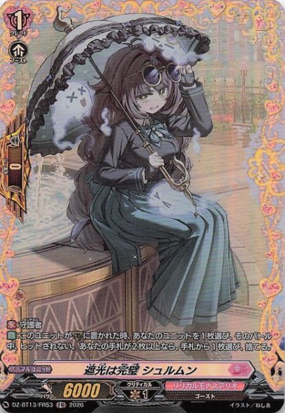 画像1: 【FR】遮光は完璧 シュルムン　DZ-BT13/FR53 (1)