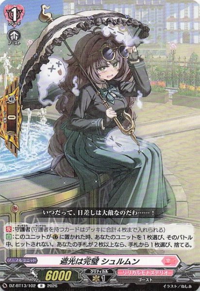 画像1: 【R】遮光は完璧 シュルムン　DZ-BT13/102 (1)