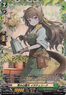 ラヴニカ:ギルドの都】基本土地 Foil 山 302/306(日本語 ラヴニカ:ギルドの都】基本土地 Foil 山 302/306(日本語