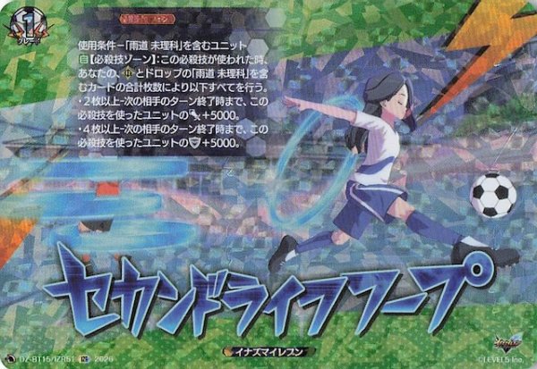 画像1: 【IZR】セカンドライフフープ　DZ-BT15/IZR51 (1)