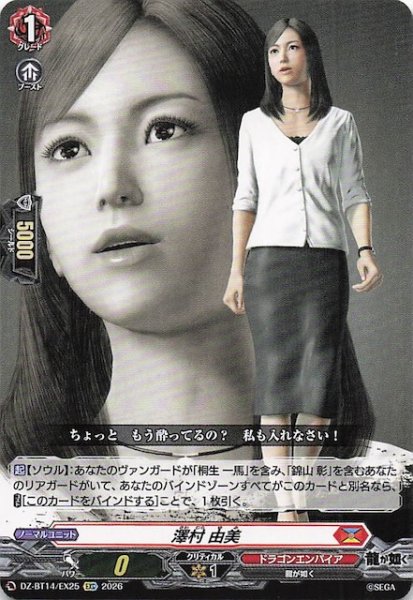 画像1: 【EXC】澤村 由美　DZ-BT14/EX25 (1)