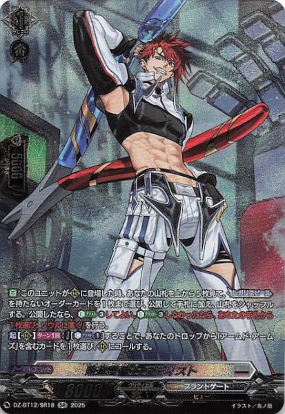 画像1: 【SR】熟達整備士 アディスト　DZ-BT12/SR18 (1)