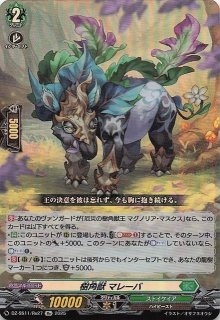 Verdance, Thorn of the Rose 薔薇の棘、ヴァーダンス