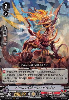 ヴァンガード 次元超躍 ダークステイツ R+C セット - マナソース