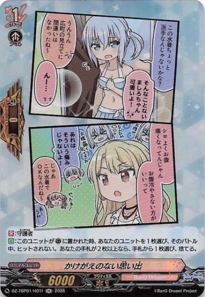 画像1: 【H】かけがえのない思い出（f）　DZ-TBP01/H01f (1)