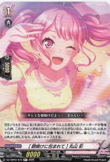 MEGA ドリームex カナリィ SAR SR まとめ売り ☆ポケカ MEGAドリームex カナリィ SAR ☆ - メルカリ