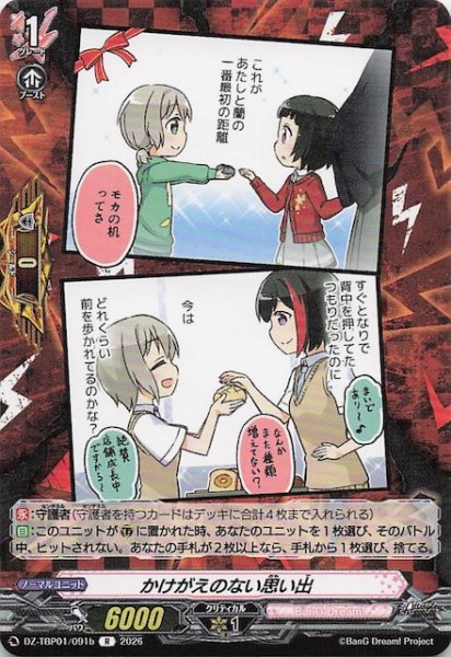 画像1: 【R】かけがえのない思い出（b）　DZ-TBP01/091b (1)