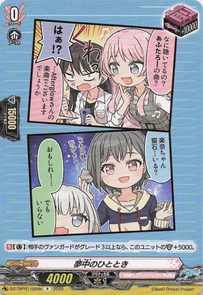 画像1: 【R】夢中のひととき（h）　DZ-TBP01/094h (1)