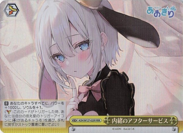画像1: 【RRR】内緒のアフターサービス　AOH/W127-025R (1)