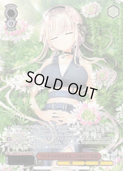 画像1: 【カートン特典PR】“クレオメが咲き誇るこの場所で”陽彩 ANM/W138-052PS (1)