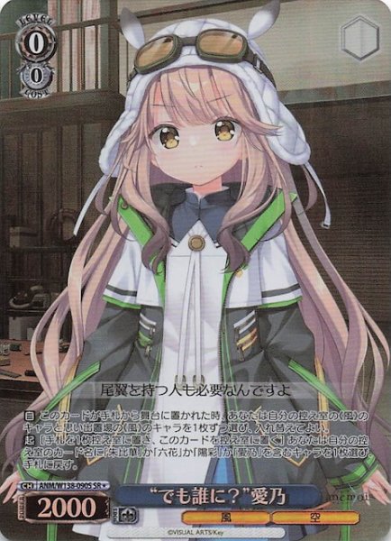 画像1: 【SR1】“でも誰に？”愛乃 ANM/W138-090S (1)