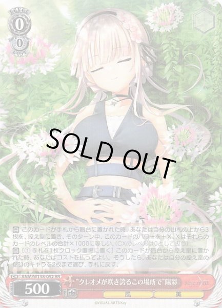 画像1: 【RR】“クレオメが咲き誇るこの場所で”陽彩 ANM/W138-052 (1)