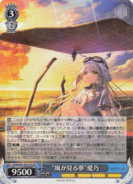 画像1: 【RR】“風が見る夢”愛乃 ANM/W138-079 (1)