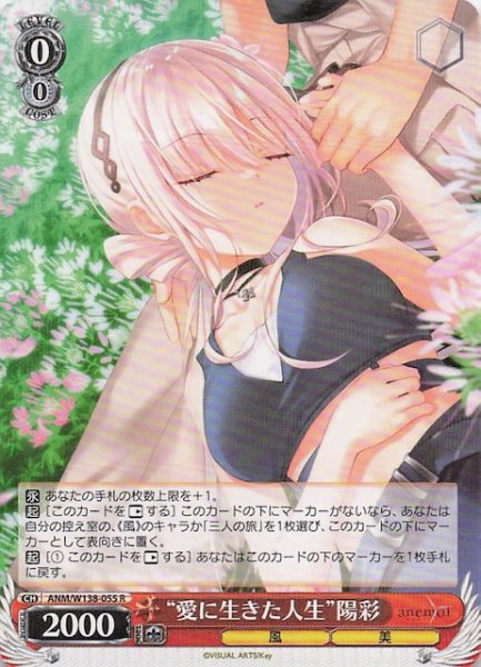 画像1: 【R】“愛に生きた人生”陽彩 ANM/W138-055 (1)