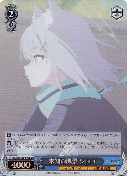 画像1: 【SR】未知の風景 シロコ BAV/W129-077S (1)