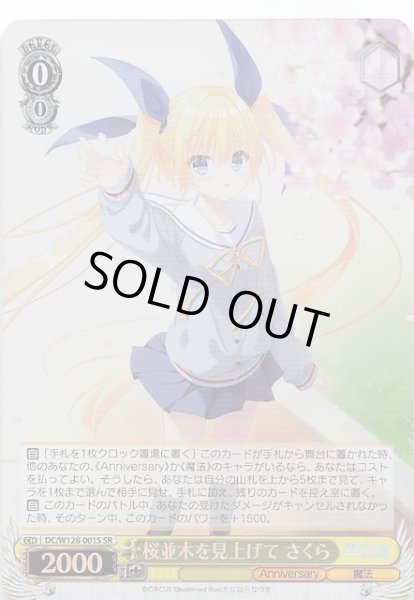 画像1: 【SR】桜並木を見上げて さくら　DC/W128-001S (1)