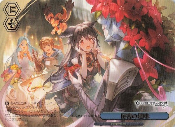 画像1: 【パラレル ボックス特典PR】秘密の趣味 GBF/S134-132S (1)