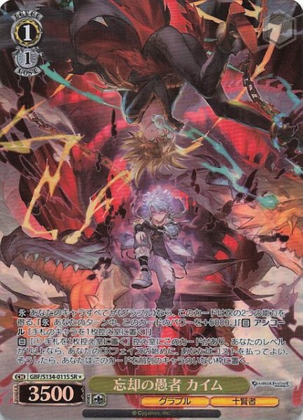 画像1: 【星1 SR】忘却の愚者 カイム GBF/S134-011S (1)