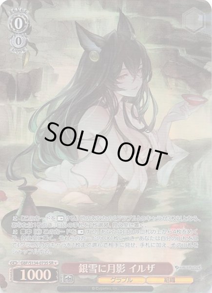 画像1: 【星1 SR】銀雪に月影 イルザ GBF/S134-073S (1)