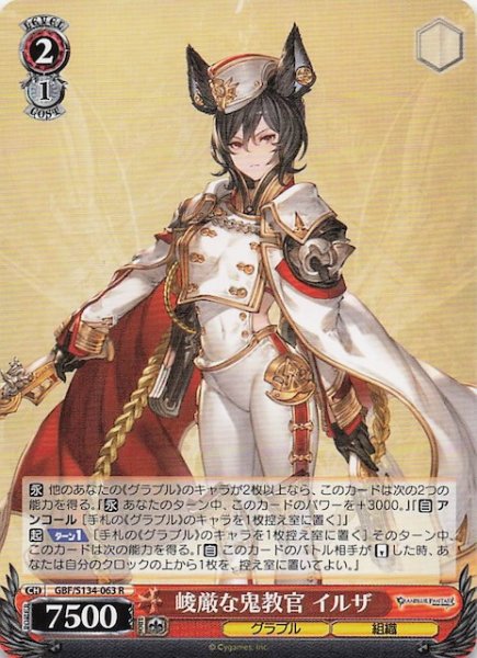 画像1: 【R】峻厳な鬼教官 イルザ GBF/S134-063 (1)