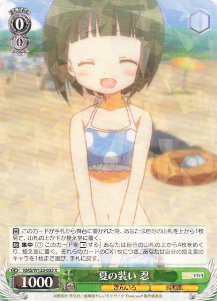 画像1: 【R】夏の装い 忍　KMS/W133-035 (1)