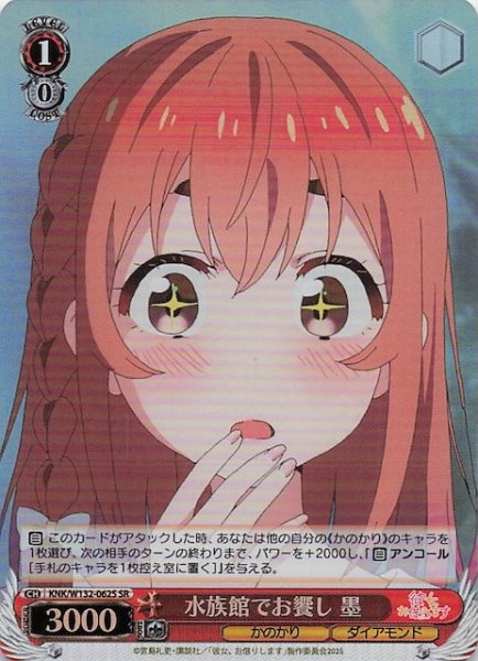 画像1: 【SR】水族館でお饗し 墨 KNK/W132-062S (1)