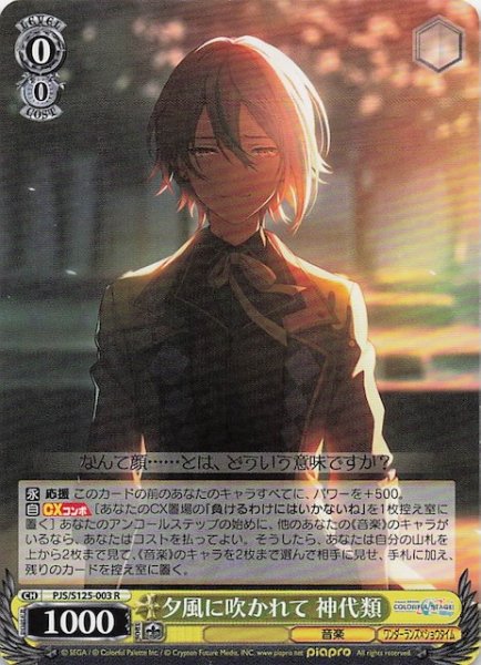 画像1: 【R】夕風に吹かれて 神代類　PJS/S125-003 (1)