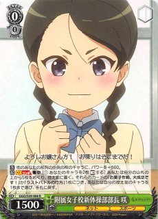 ソードアート・オンライン オルタナティブ ガンゲイル