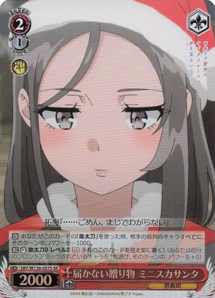 画像1: 【SR】届かない贈り物 ミニスカサンタ　SBY/W136-057S (1)