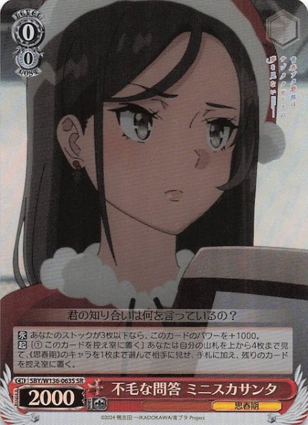 画像1: 【SR】不毛な問答 ミニスカサンタ　SBY/W136-063S (1)
