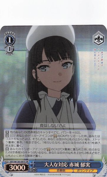 画像1: 【SR】大人な対応 赤城 郁実　SBY/W136-085S (1)