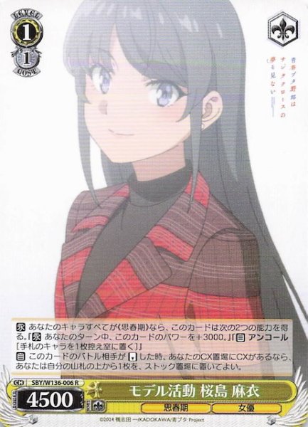 画像1: 【R】モデル活動 桜島 麻衣　SBY/W136-006 (1)