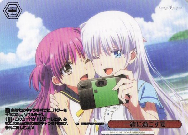 画像1: 【パラレル ボックス特典 PR】一緒に過ごす夏　SMP/W137-105S (1)