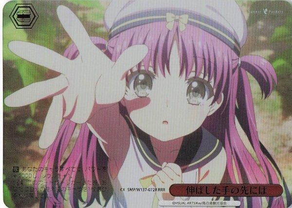 画像1: 【RRR】伸ばした手の先には　SMP/W137-072R (1)