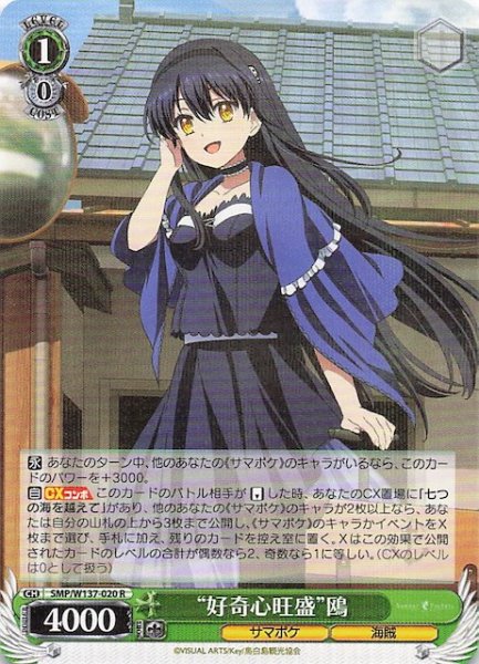 画像1: 【R】“好奇心旺盛”鴎　SMP/W137-020 (1)